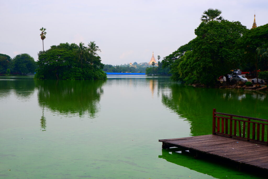 Myanmar-Kandawgyi-Nature-Park